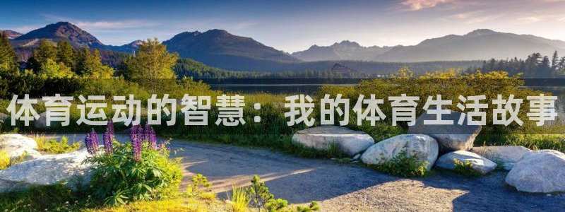 三亿体育