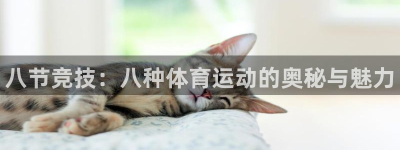 三亿体育网：八节竞技：八种体育运动的奥秘与魅力
