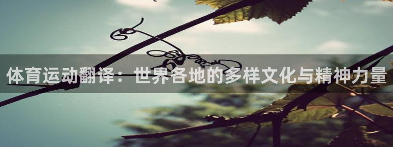三亿体育网页版：体育运动翻译：世界各地的多样文化与精神力量