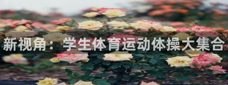 三亿体育登录：新视角：学生体育运动体操大集合