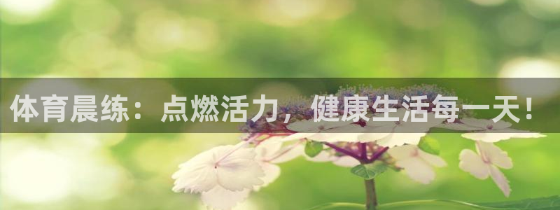 三亿体育登录：体育晨练：点燃活力，健康生活每一天！