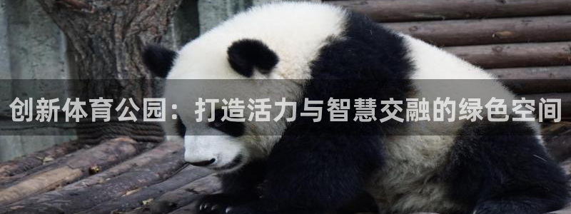 三亿体育网页版