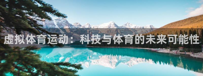 三亿体育网页版