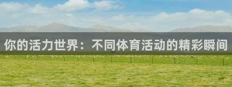 三亿体育网页版：你的活力世界：不同体育活动的精彩瞬间