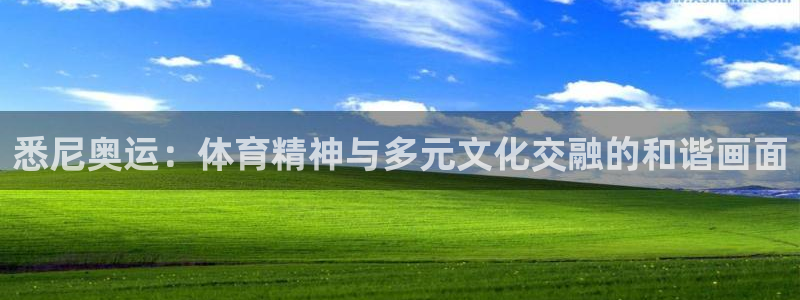 三亿体育网页版：悉尼奥运：体育精神与多元文化交融的和谐画面