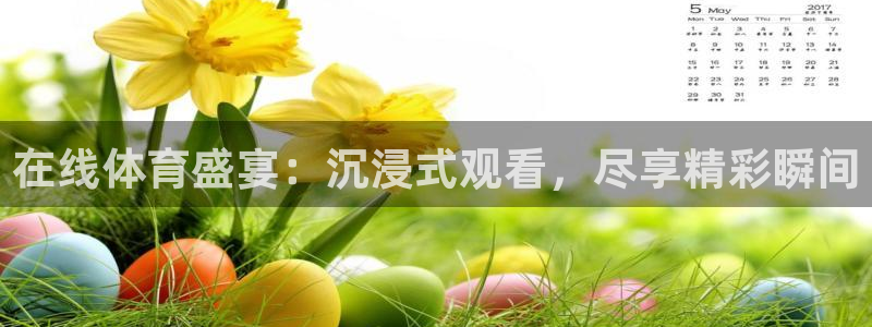 三亿体育网页版：在线体育盛宴：沉浸式观看，尽享精彩瞬间